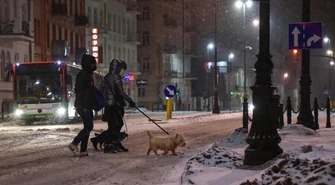 CBOS: Polacy oceniają warunki życia w Polsce jako szkodliwe dla zdrowia psychicznego