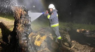 Spłonęła 100-letnia sosna