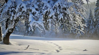 We wtorek zaczyna się astronomiczna zima