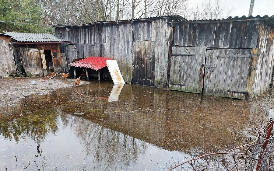 Luciąża ostrzega Pilica bezpieczna