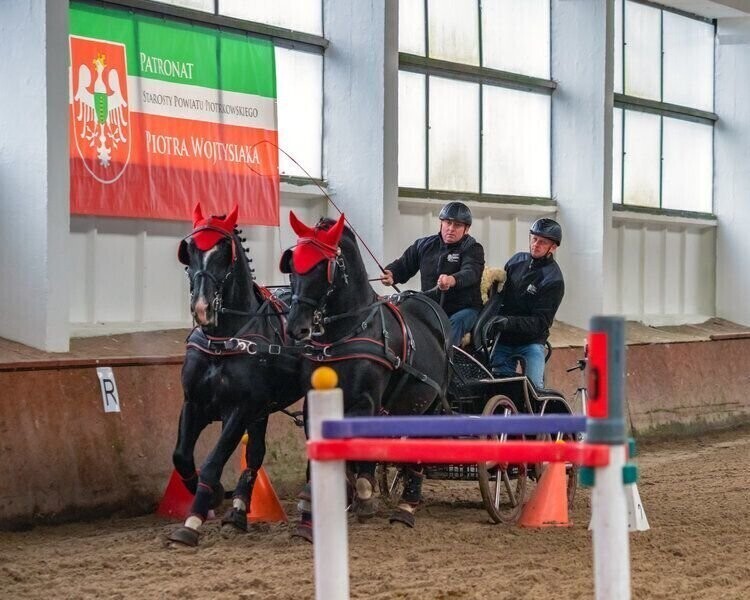 Sprawdzają kto powozi najlepiej