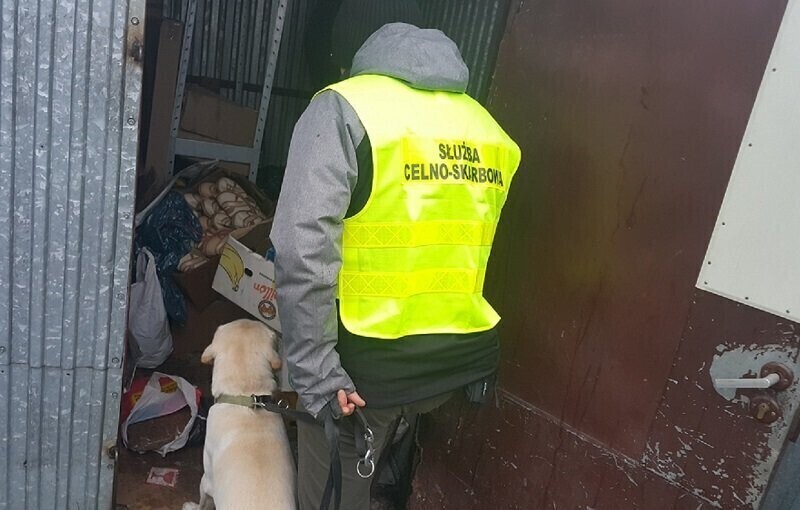 Ares wytropił nielegalne papierosy