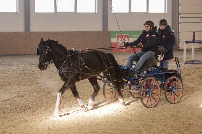 Kolejne zmagania w powożeniu