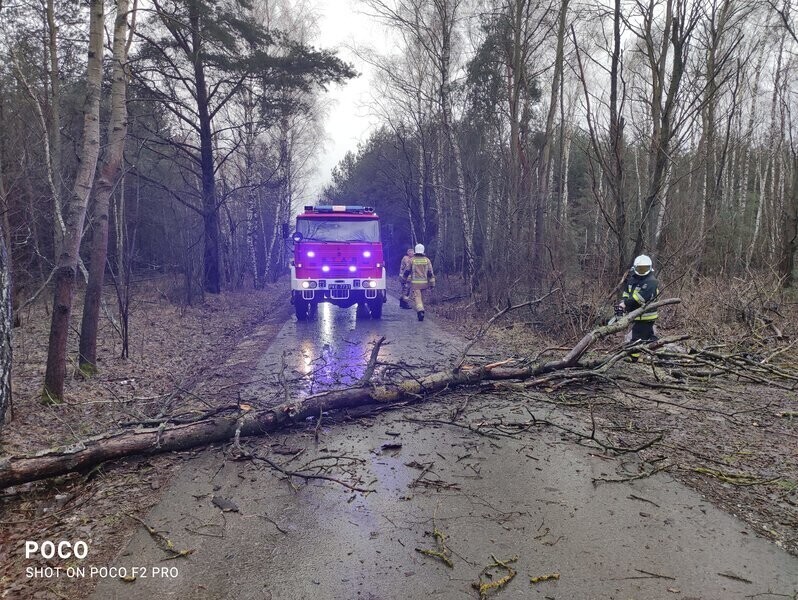 Sprzątanie po Nadii zakończone