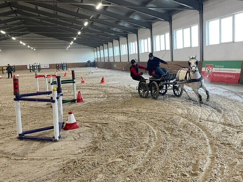 Zawody w powożeniu rozstrzygnięte