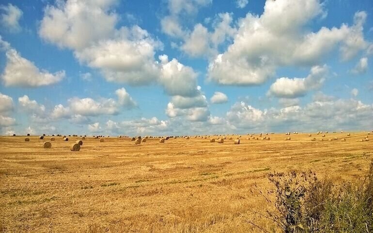 Rośnie liczba wypadków w rolnictwie