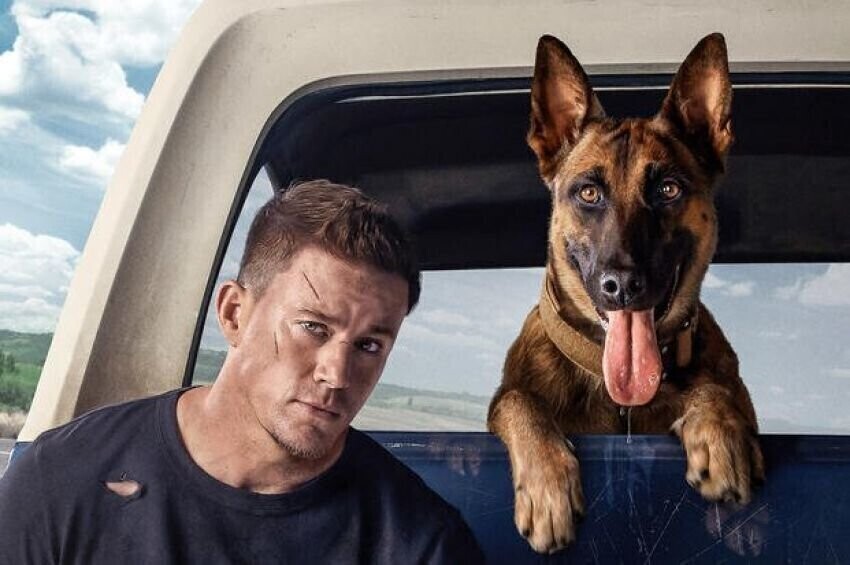 Premiera komedii o krnąbrnym psie Lulu