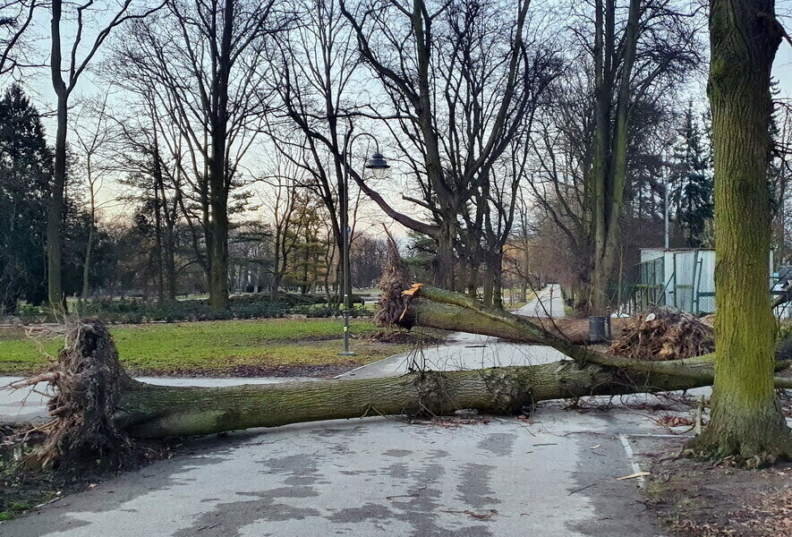 Można przesunąć ale nie usunąć. Trudno to zrozumieć