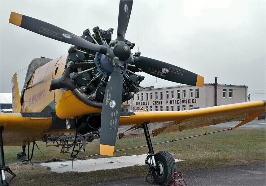 Dromadery ochronią piotrkowskie lasy