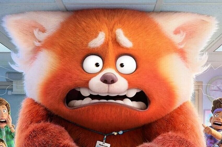 Co wypada a co nie wypanda Nowa bajka w kinach