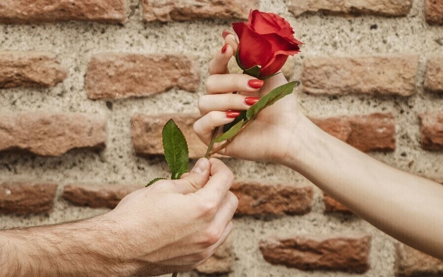 Wręczył kwiat zabrał torebkę