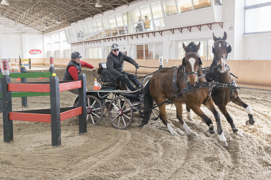 Zakończono zmagania w powożeniu ZDJĘCIA