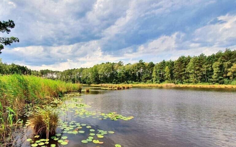 Odkrywamy znane i nieznane - Uroczysko Święte Ługi