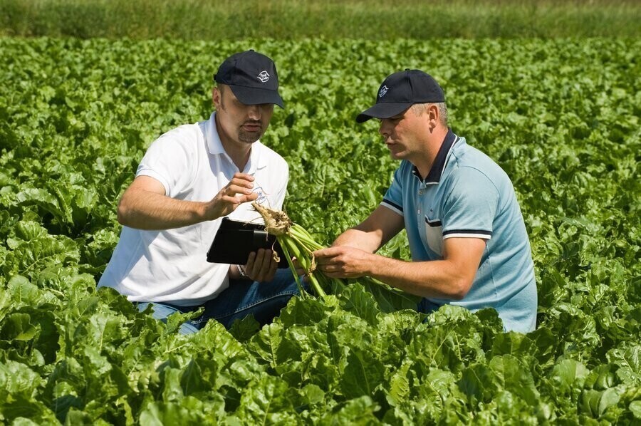 Dodatkowe 1000 zł premii za hektar