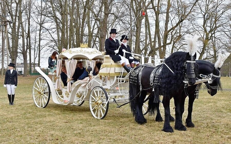 Zorganizowali dzień otwarty w bajecznym stylu