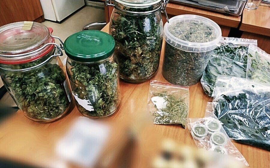 Ponad 650 gramów i domowa uprawa