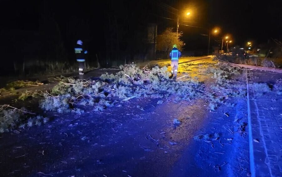 Samochód uderzył w powalone drzewo