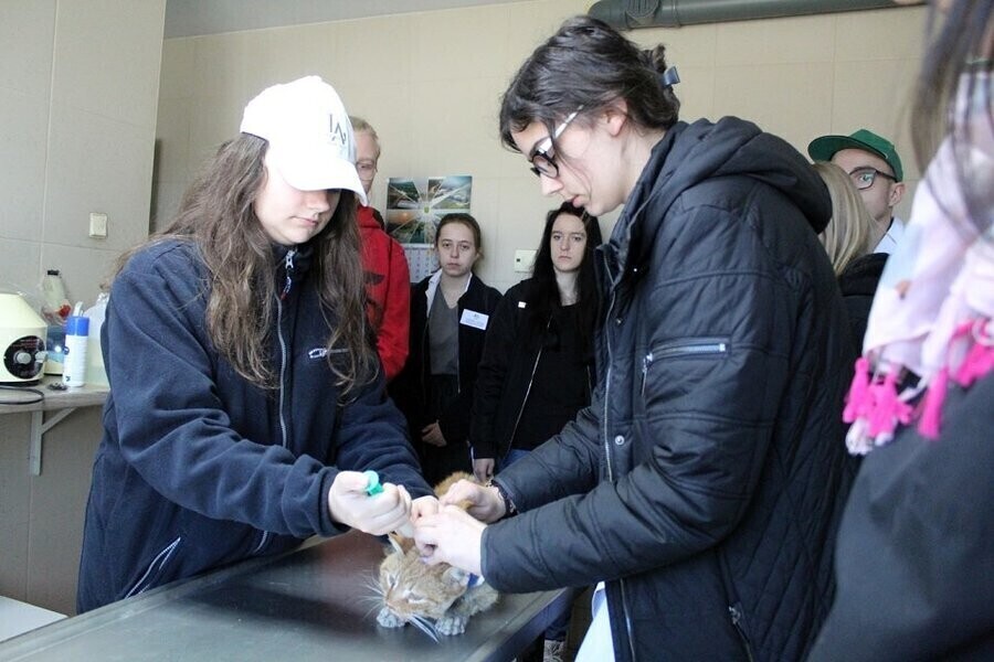 Przyszli weterynarze z Bujen na zajęciach w schronisku