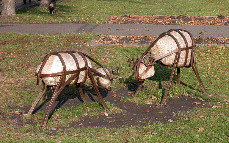 Odkrywamy znane i nieznane - Kamienne baranki i pawie w Piotrkowie