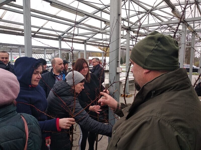 Nakręcali na zieleń