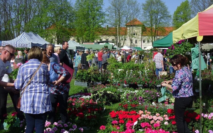 Targi ogrodnicze wracają po 2 latach