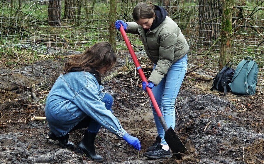 Zasadzili tysiące dębów na Międzynarodowy Dzień Ziemi ZDJĘCIA
