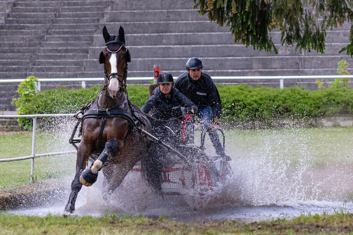 Powozili w Stadzie Ogierów w Bogusławicach