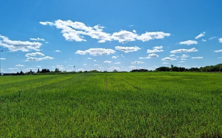 Czy weekend przyniesie zmianę pogody