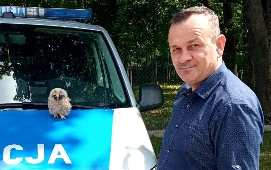 Policjant uratował... sowę