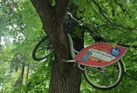 Piotrkowski rower nadrzewny