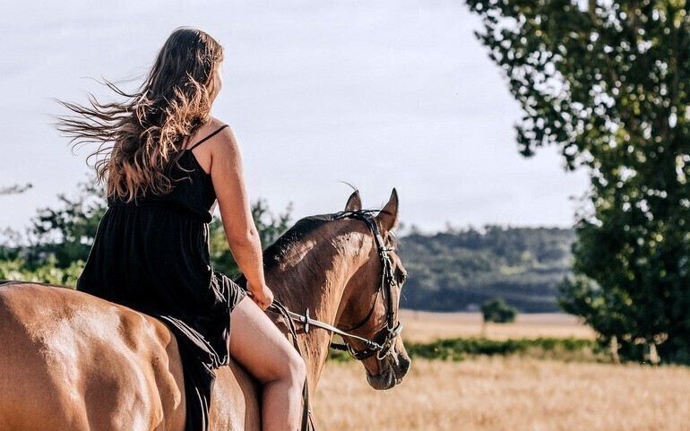 Odkrywamy znane i nieznane - Łódzki Szlak Konny