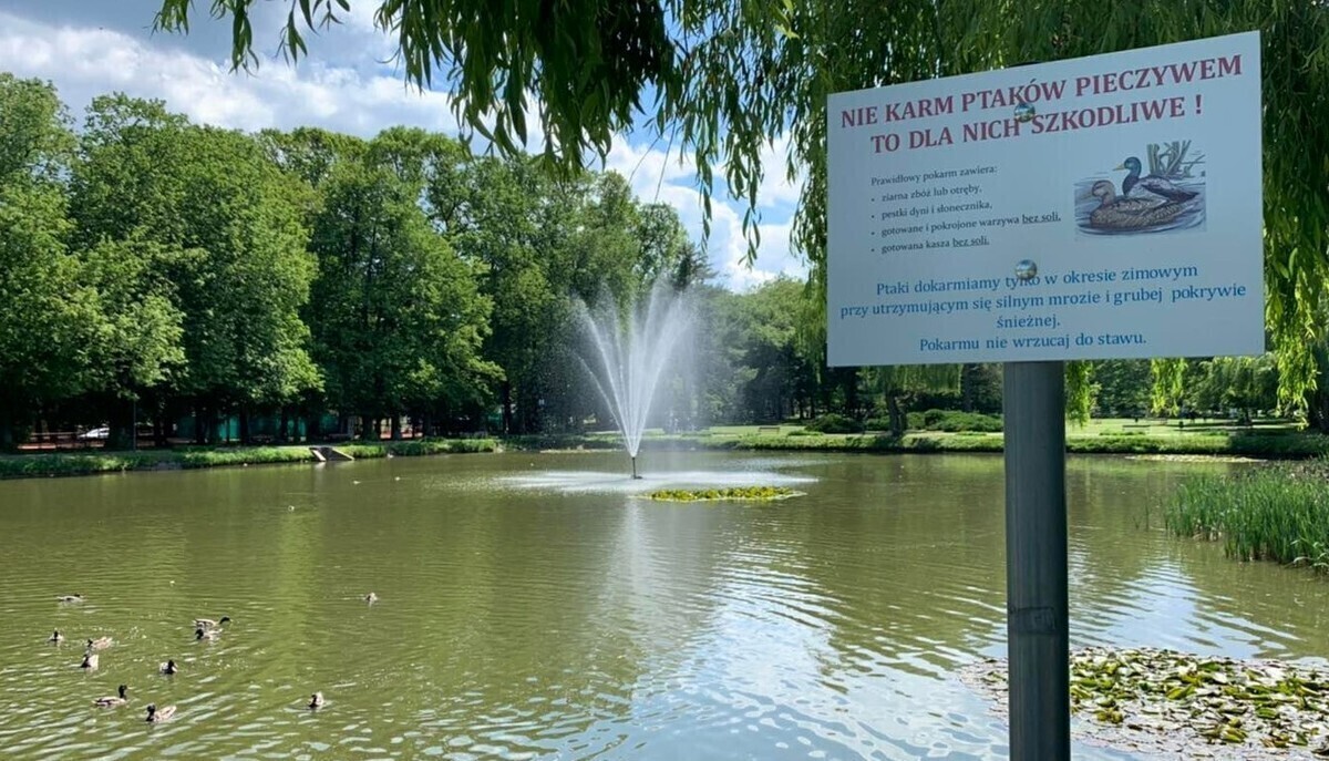 Nie karm ptaków pieczywem - tablice informacyjne w piotrkowskim parku