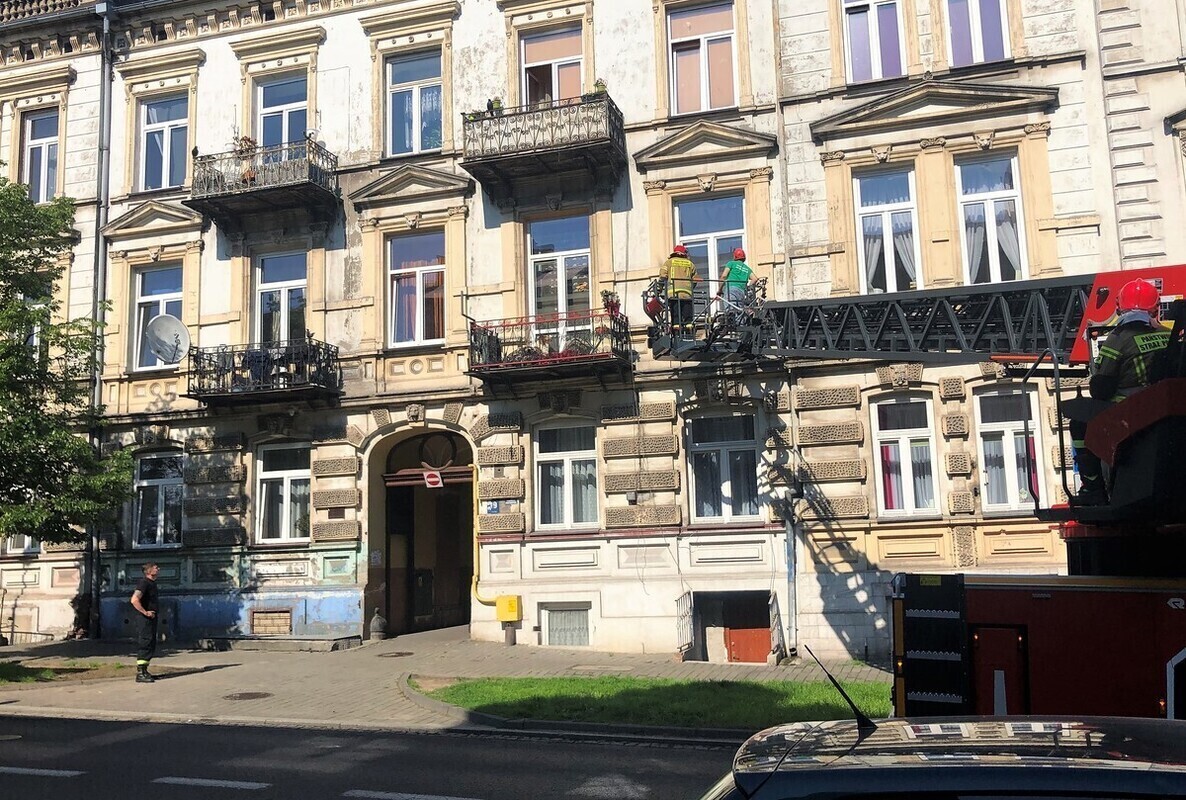 Strażacy ratowali psa i kota ZDJĘCIA