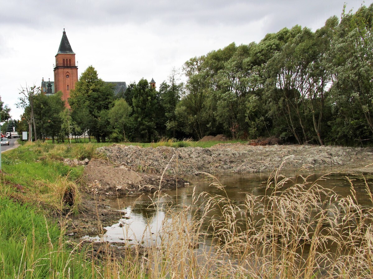 Będzie rewitalizacja zbiornika w Bogdanowie