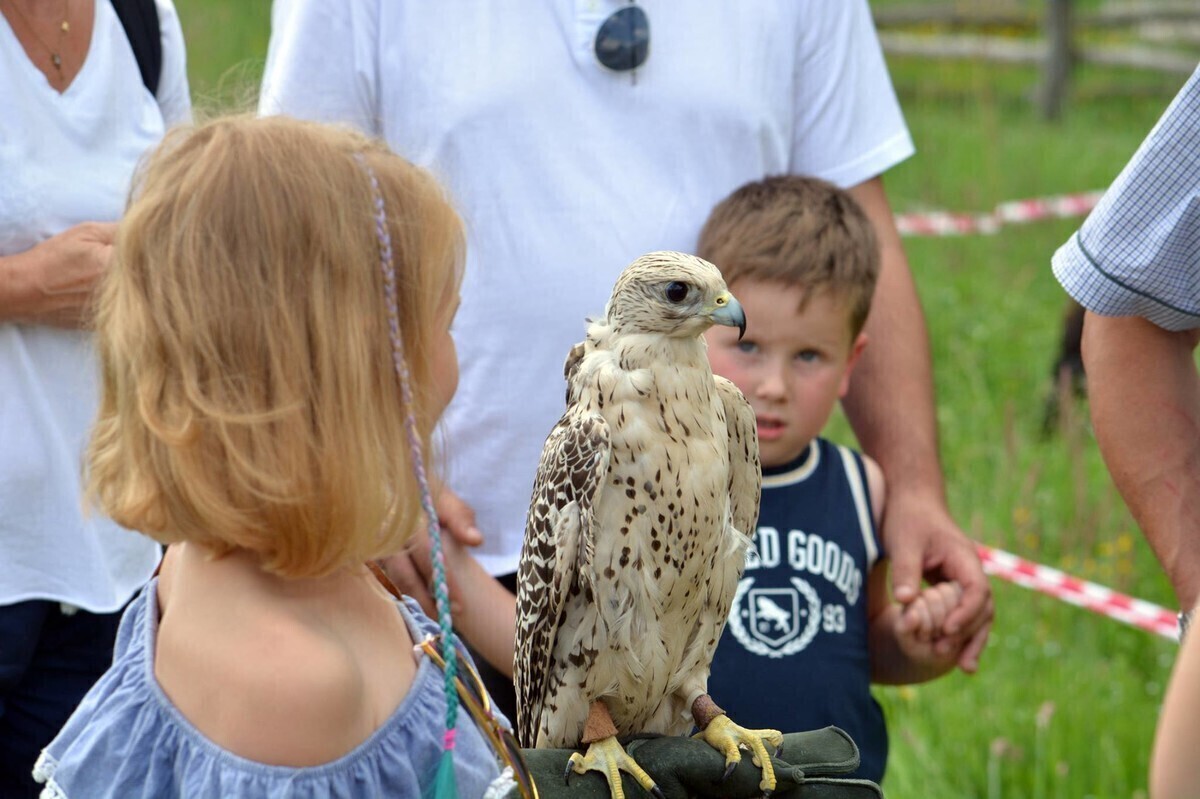 Wakacje pełne wypraw z GOKiS-em