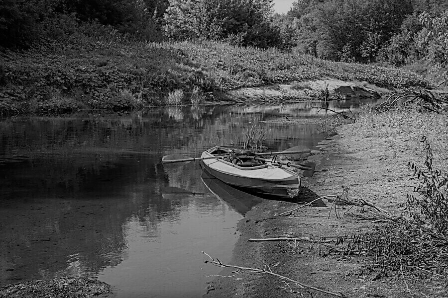 Ciało kajakarza wyłowione z Pilicy