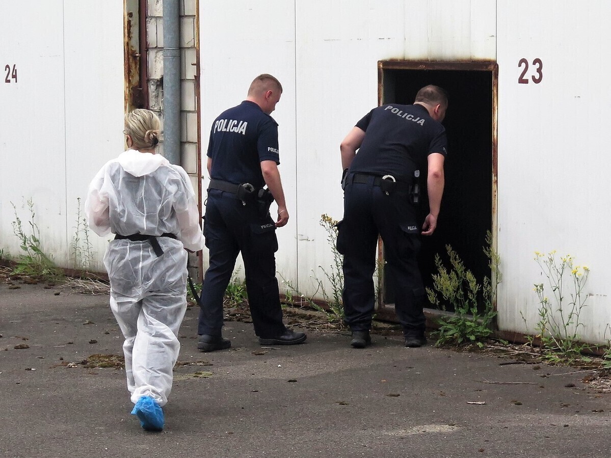 Obrońcy zwierząt interweniują Aktualizacja