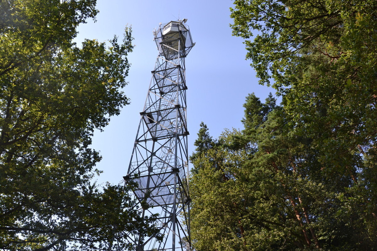 Wieże które chronią piotrkowskie lasy