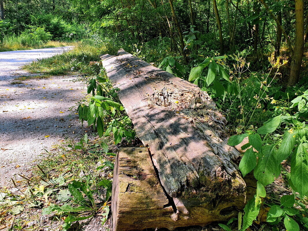 Zniszczone ławki na drodze do Koła