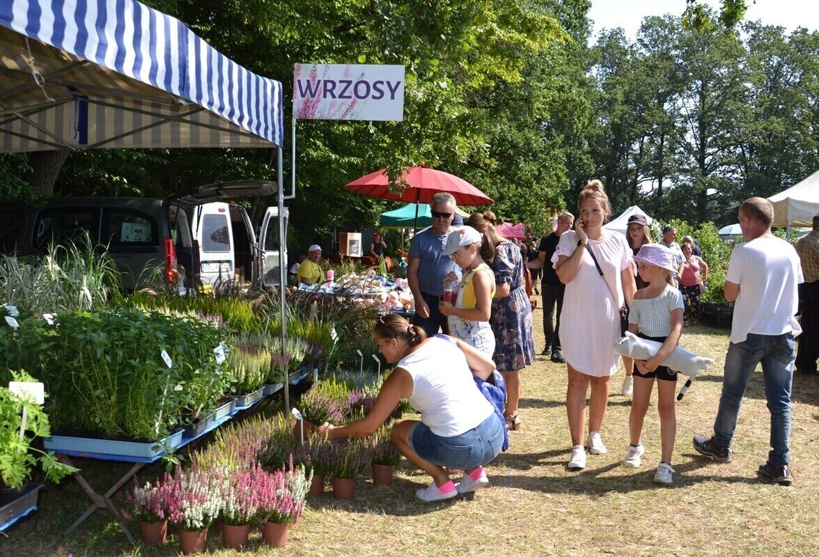 Trwa jubileuszowa ROL-SZANSA ZDJĘCIA