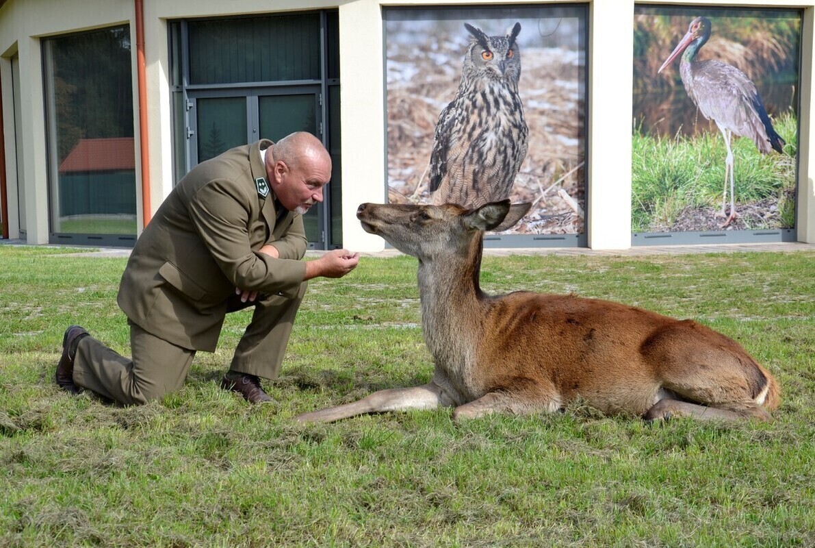 Leśna Osada już oficjalnie otwarta