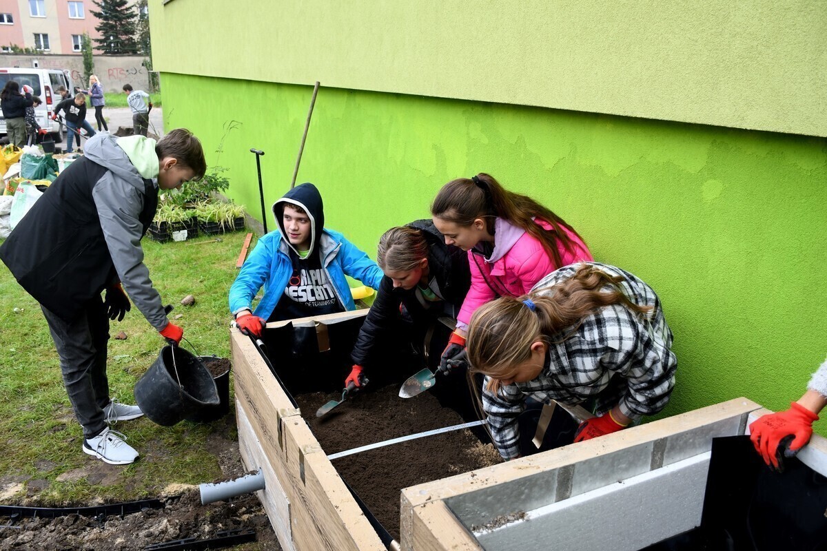 Uczniowie założyli ogród deszczowy