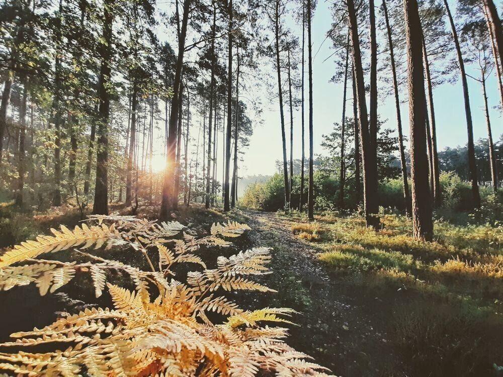 Wybrano najpiękniejsze zdjęcia Mojej Małej Ojczyzny