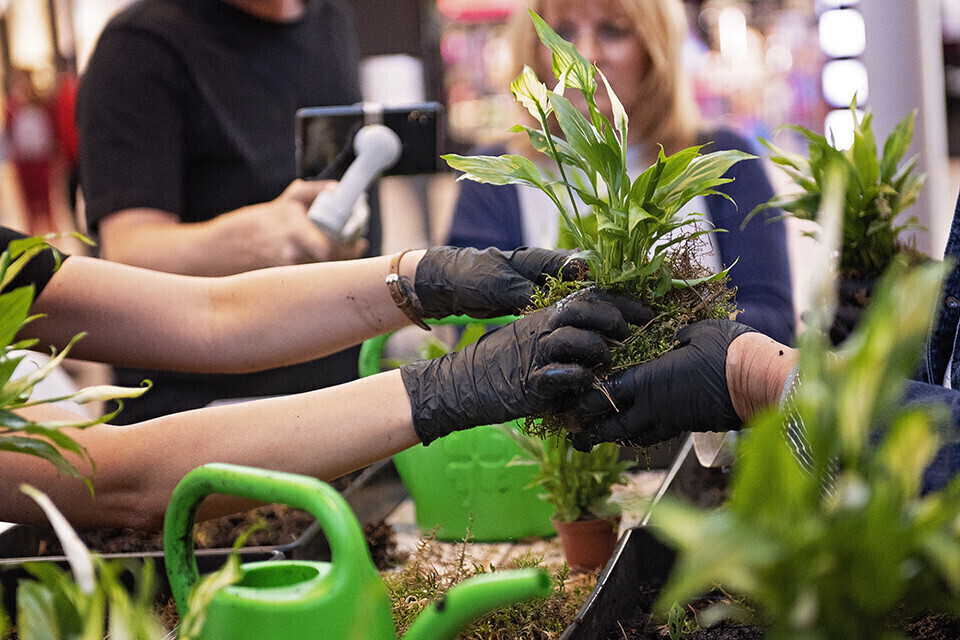 Posadź drzewo i wygraj hulajnogę