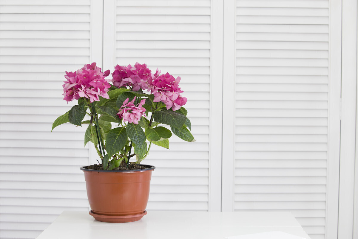 Żaluzje bambusowe a wilgoć - czy będzie to trwałe rozwiązanie do łazienki