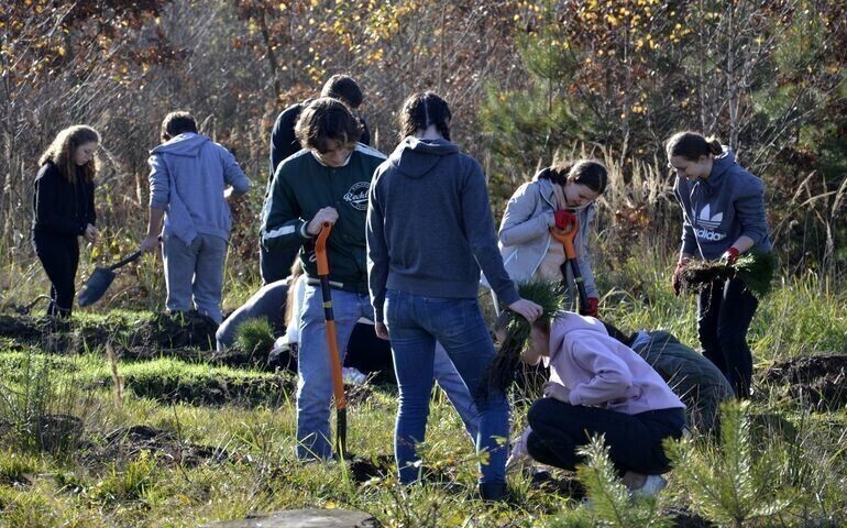 Posadzili dwa tysiące drzew