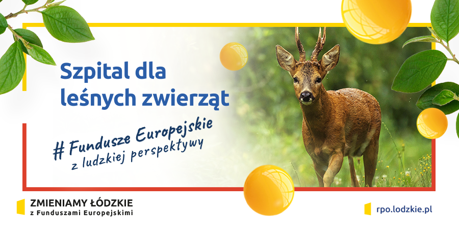 Szpital dla leśnych zwierząt