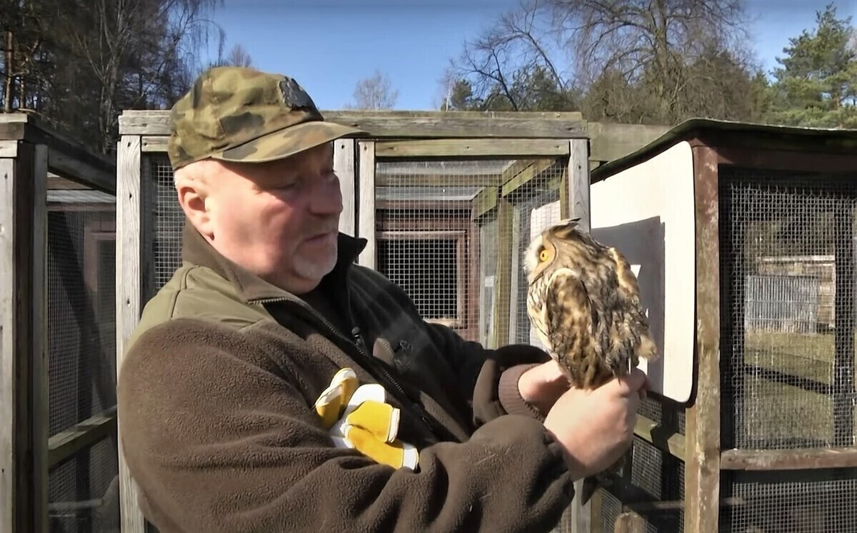 O sowach prosto z Osady Leśnej