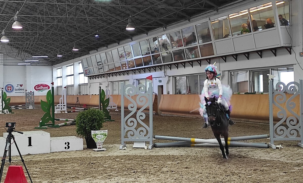 Mikołajkowe atrakcje w Stadzie Ogierów w Bogusławicach