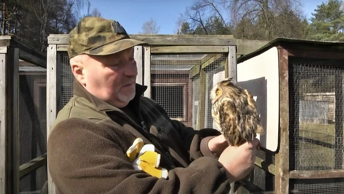 O sowach prosto z Osady Leśnej